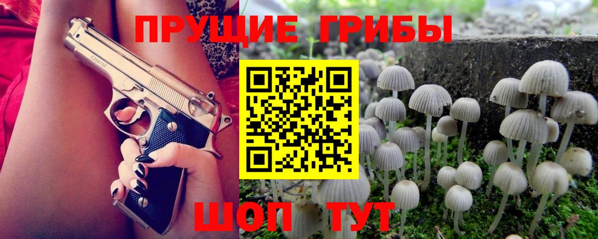 Чебоксары  Псилоцибиновые грибы Magic Shrooms  Вход с VPN 